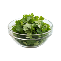 Fresh cilantro leaves seasoning or garnishing in small glass bowl isolated on transparent background png