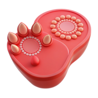 Red Plastic Object with Multiple Circular Shapes png