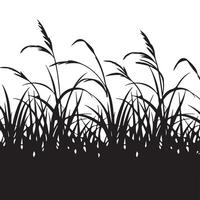Silhouette of grass on a white background vector
