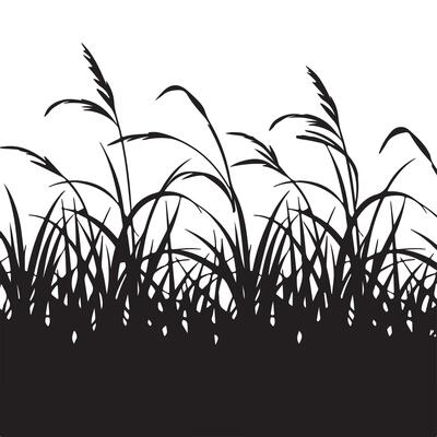 Silhouette of grass on a white background
