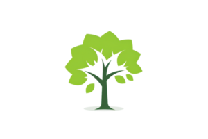 Simple illustration of a tree with green leaves and brown trunk, isolated on a transparent background, representing nature and growth. png