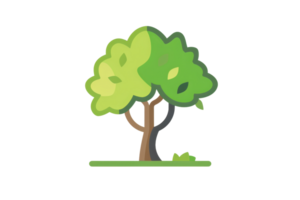 Illustration of a vibrant green tree with leaves, isolated on a transparent background. Perfect for nature, environment, and botanical designs. png