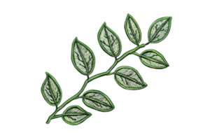 Detailed illustration of a green leafy branch with delicate patterns, suitable for nature-themed designs and botanical projects. png