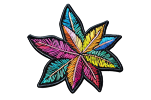 Colorful embroidered patch featuring a vibrant multicolored star-like design. Ideal for crafts, clothing, and accessories decoration. png