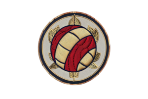 Close-up image of an embroidered patch featuring a vintage volleyball design with a circular border and intricate leaf details. png