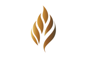 A gold leaf with a tree on it. The leaf is curled and has a flame on it png