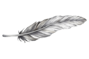 Detailed close-up of a single grey feather. Perfect for nature-themed designs and backgrounds. Isolated on a simple transparent background. png