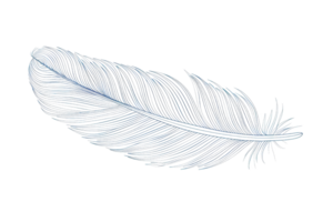 A feather is shown in a blue and white color scheme. The feather is drawn in a very detailed and intricate manner, with many small dots and lines png