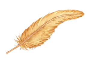 High-resolution image of a single, golden feather isolated on a transparent background, perfect for design and decorative projects. png