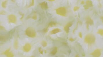 Elegant summer floral background animation in the style of an abstract watercolor or oil painting with gently blending delicate daisy flowers in soft dreamy color tones. video