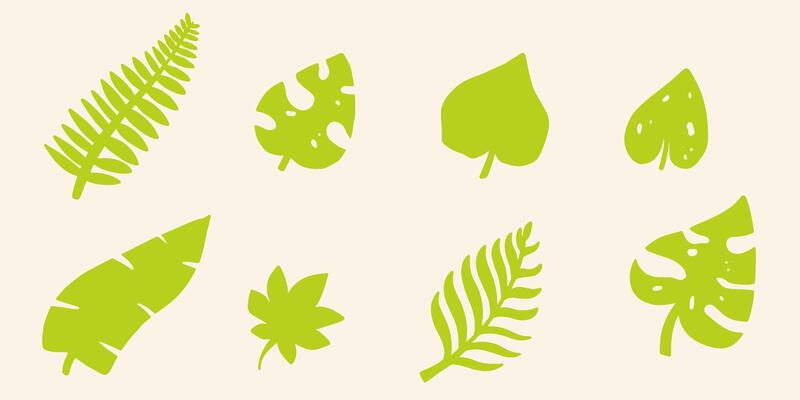 set of tropical leaves handdrawn doodle kid drawing. bold element. isolated images. eps 10