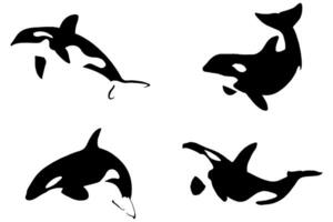 silhouette of orca set. negative space. only black. isolated images. eps 10 vector