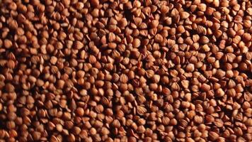 Dry Uncooked Brown Buckwheat Groats, Slowly Rotating Clockwise - Top View, Low Key Light. Raw Large Buckwheat Grains. Russian, Ukrainian and Belarusian Culture. Rotation Right video