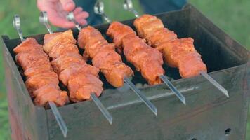 Man is Cooking Pork Outdoors and Turning Barbecue Meat on Skewers. Hot Grilled Kebab on the Coals. Picnic Food Preparing. Middle Close-Up Shot video