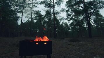 The Flame is Burning in the Grill. Lighting Fire in the Brazier. Kindling Coals in the Mangal. Preparing for a Barbecue Grill Cooking. Static Shot, Super Slow Motion video