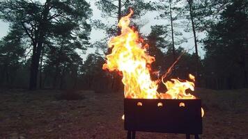 The Flame is Burning in the Grill. Lighting Fire in the Brazier. Kindling Coals in the Mangal. Preparing for a Barbecue Grill Cooking. Static Shot, Super Slow Motion video