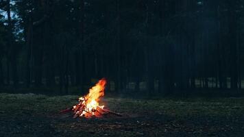 A Bonfire Burning in the Forest in Evening. Flaming Campfire. Fireplace in Nature - Static Shot, Slow Motion video