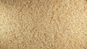 Dry Uncooked Parboiled Rice Background Rotating Left - Top View, Low Key Light. Scattered Raw Long Grain Rice. Asian Cuisine and Culture. Healthy Eating Ingredients. Diet Food video