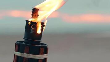 Tropical Bamboo Torch Burning in the Beach at Summer Evening. Decorative Candle Has a Massive Orange Flame Using Oil Fuel or Kerosene - Slow Motion. CloseUp Static Shot video