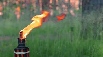 Bamboo Torch Burning in the Forest in Summer in the Daytime. Decorative Tropical Candle Has a Big Orange Flame Using Oil Fuel or Kerosene - Slow Motion. Static CloseUp Shot video