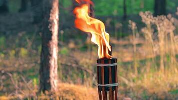 Bamboo Torch Burning in the Forest in Summer in the Daytime. Decorative Tropical Candle Has a Big Orange Flame Using Oil Fuel or Kerosene - Slow Motion. Static CloseUp Shot video
