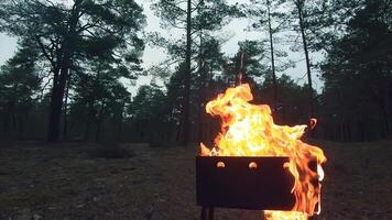 The Flame is Burning in the Grill. Lighting Fire in the Brazier. Kindling Coals in the Mangal. Preparing for a Barbecue Grill Cooking. Static Shot, Super Slow Motion video