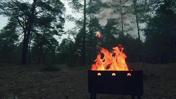 The Flame is Burning in the Grill. Lighting Fire in the Brazier. Kindling Coals in the Mangal. Preparing for a Barbecue Grill Cooking. Static Shot, Super Slow Motion video
