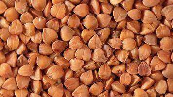 Dry Uncooked Brown Buckwheat Groats, Rotating Background - Top View, Close-Up, Macro. Raw Large Buckwheat Grains. Russian, Ukrainian and Belarusian Culture. Rotation Left video