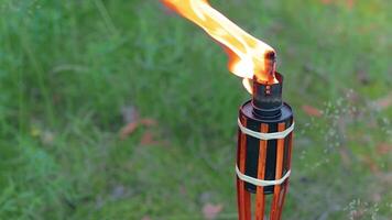 Bamboo Torch Burning in the Forest in Summer in the Daytime. Decorative Tropical Candle Has a Big Orange Flame Using Oil Fuel or Kerosene - Slow Motion. Static CloseUp Shot video