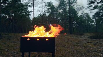 The Flame is Burning in the Grill. Lighting Fire in the Brazier. Kindling Coals in the Mangal. Preparing for a Barbecue Grill Cooking. Static Shot, Super Slow Motion video