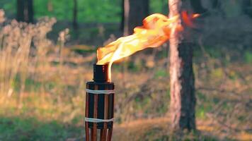 Bamboo Torch Burning in the Forest in Summer in the Daytime. Decorative Tropical Candle Has a Big Orange Flame Using Oil Fuel or Kerosene - Slow Motion. Static CloseUp Shot video