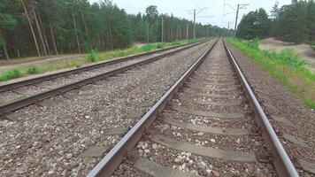 Moving Forward Along the Railroad Going Through the Pine Forest. European Railway for Electric Train - Smooth Movement on Gimbal Stabilizer video