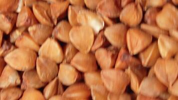 Dry Uncooked Brown Buckwheat Groats Background Moving Upward - Top View, Close-Up, Macro. Raw Large Buckwheat Grains. Russian, Ukrainian and Belarusian Culture video