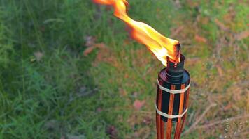 Bamboo Torch Burning in the Forest in Summer in the Daytime. Decorative Tropical Candle Has a Big Orange Flame Using Oil Fuel or Kerosene - Slow Motion. Static CloseUp Shot video