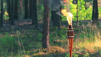Bamboo Torch Burning in the Forest in Summer in the Daytime. Decorative Tropical Candle Has a Big Orange Flame Using Oil Fuel or Kerosene - Slow Motion. Static Shot video