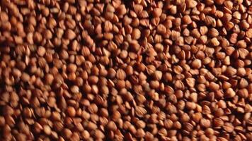 Dry Uncooked Brown Buckwheat Groats, Slowly Rotating Counter-Clockwise - Top View, Low Key Light. Raw Large Buckwheat Grains. Russian, Ukrainian and Belarusian Culture. Rotation Left video