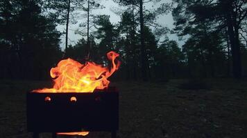 The Flame is Burning in the Grill. Lighting Fire in the Brazier. Kindling Coals in the Mangal. Preparing for a Barbecue Grill Cooking. Static Shot, Super Slow Motion video