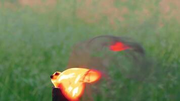 Bamboo Torch Burning in the European Forest. Decorative Tropical Candle Has a Massive Orange Flame Using Oil Fuel or Kerosene. Closeup Static Shot video