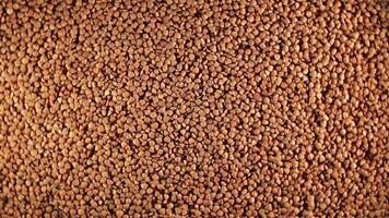 Dry Uncooked Brown Buckwheat Groats, Rotating Background - Top View, Low Key Light. Raw Large Buckwheat Grains. Russian, Ukrainian and Belarusian Culture. Rotation Right video
