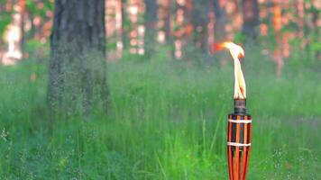 Bamboo Torch Burning in the Forest in Summer in the Daytime. Decorative Tropical Candle Has a Big Orange Flame Using Oil Fuel or Kerosene - Slow Motion. Static Shot video