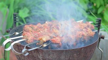 Hot Grilled Kebab Cooking on the Mangal in Summer Garden. Tasty Barbecue Meat Grilling on Skewers Against the Green Nature Background. Summer Holiday Picnic Concept - Slow Motion. Middle CloseUp Shot video