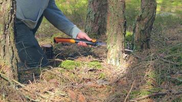 Man in a Hike Sawing Wood for the Campfire Using a Hand Saw. Tourist in a European Forest is Prepearing for the Camp. Static Shot video