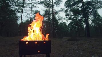 The Flame is Burning in the Grill. Lighting Fire in the Brazier. Kindling Coals in the Mangal. Preparing for a Barbecue Grill Cooking. Static Shot, Super Slow Motion video