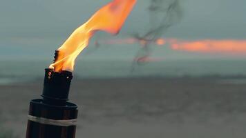 Tropical Bamboo Torch Burning in the Beach at Summer Evening. Decorative Candle Has a Massive Orange Flame Using Oil Fuel or Kerosene - Slow Motion. Closeup Static Shot video