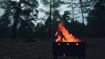 The Flame is Burning in the Grill. Lighting Fire in the Brazier. Kindling Coals in the Mangal. Preparing for a Barbecue Grill Cooking. Static Shot, Super Slow Motion video