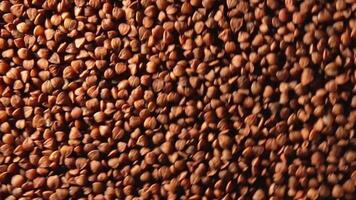 Dry Uncooked Brown Buckwheat Groats, Rotating Counter-Clockwise - Top View, Low Key Light. Raw Large Buckwheat Grains. Russian, Ukrainian and Belarusian Culture. Rotation Left video