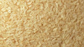 Dry Uncooked Parboiled Rice Background Rotating Counter-Clockwise - Top View. Scattered Raw Long Grain Rice. Asian Cuisine and Culture. Healthy Eating Ingredients. Diet Food. Angular Rotation Left video