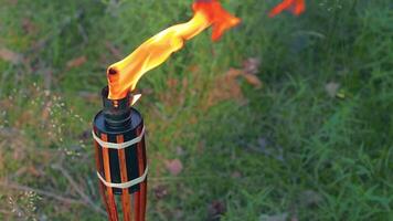 Bamboo Torch Burning in the Forest in Summer in the Daytime. Decorative Tropical Candle Has a Big Orange Flame Using Oil Fuel or Kerosene - Slow Motion. Static CloseUp Shot video