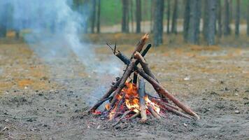 A Bonfire Burning in the Forest at Summer Day. Flaming Campfire. Fireplace in Nature - Static Shot, Slow Motion video