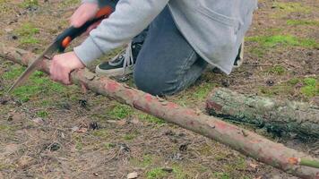 Man in a Hike Sawing Wood for the Campfire Using a Hand Saw. Tourist in a European Forest is Prepearing for the Camp. Static Shot video